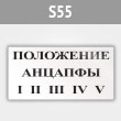 ���� (������) ���������� ��������, S55 (������, 250�140 ��)